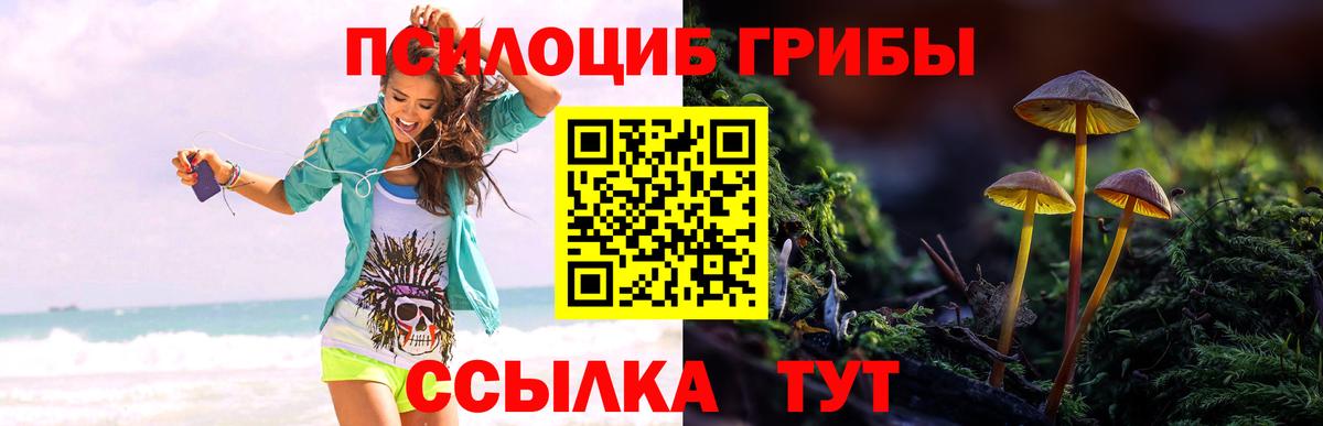 Галлюциногенные грибы мухоморы  Вход с VPN  Дмитров  Галлюциногенные грибы Cubensis 