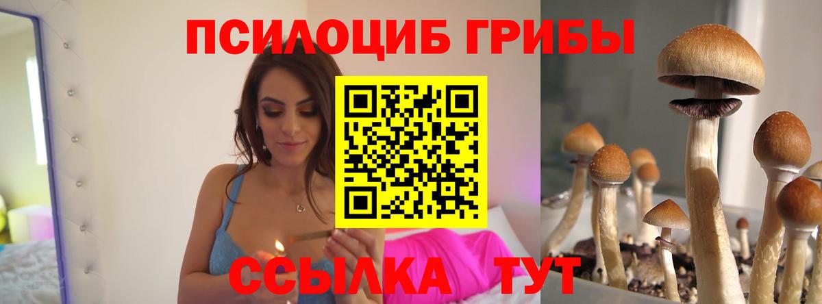 Псилоцибиновые грибы ЛСД Дмитров